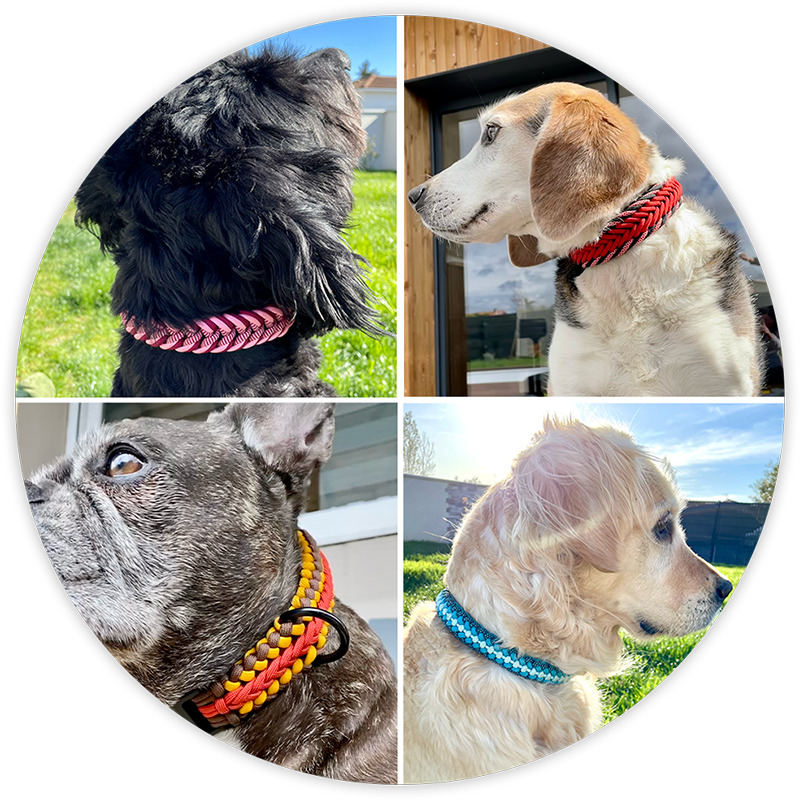 Colliers et laisses fabriqués avec amour