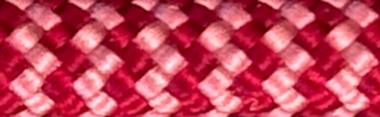 Burgundy Rose